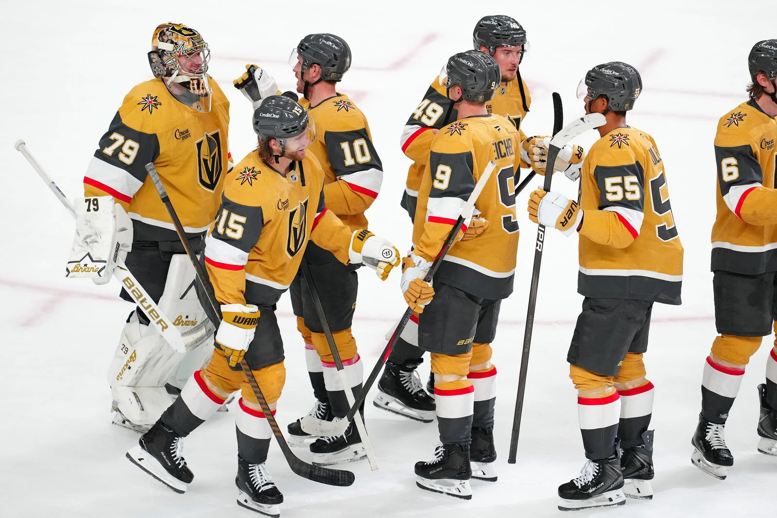 NHL Playoff Picture: Western Conference Races Head to a Dramatic Finish